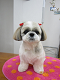IMG_0082[1]_thumb.png